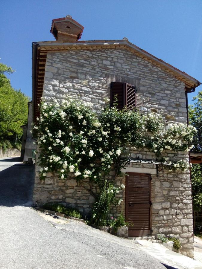 Bed & Breakfast Sentiero 54 Cantiano Eksteriør billede