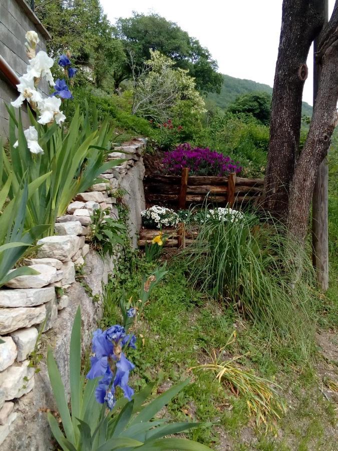 Bed & Breakfast Sentiero 54 Cantiano Eksteriør billede